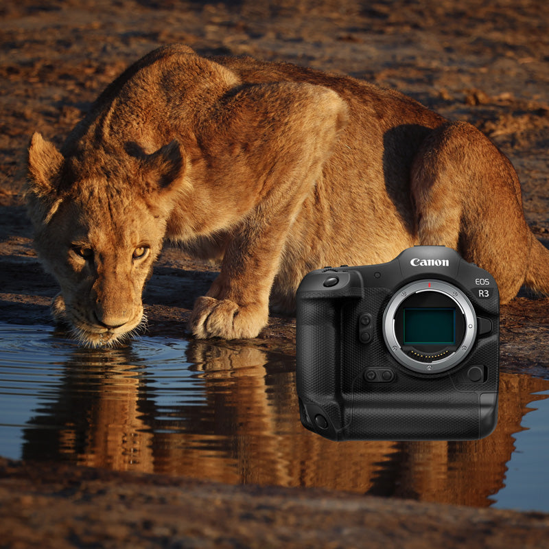 Long-Awaited Canon EOS R3 Announced