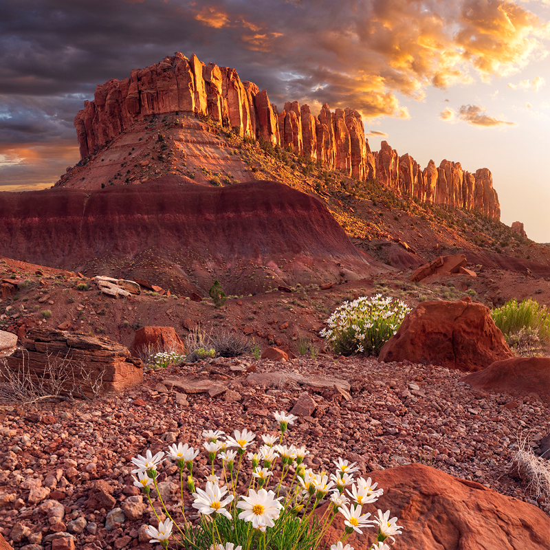 Improving Your Photographic Mindset