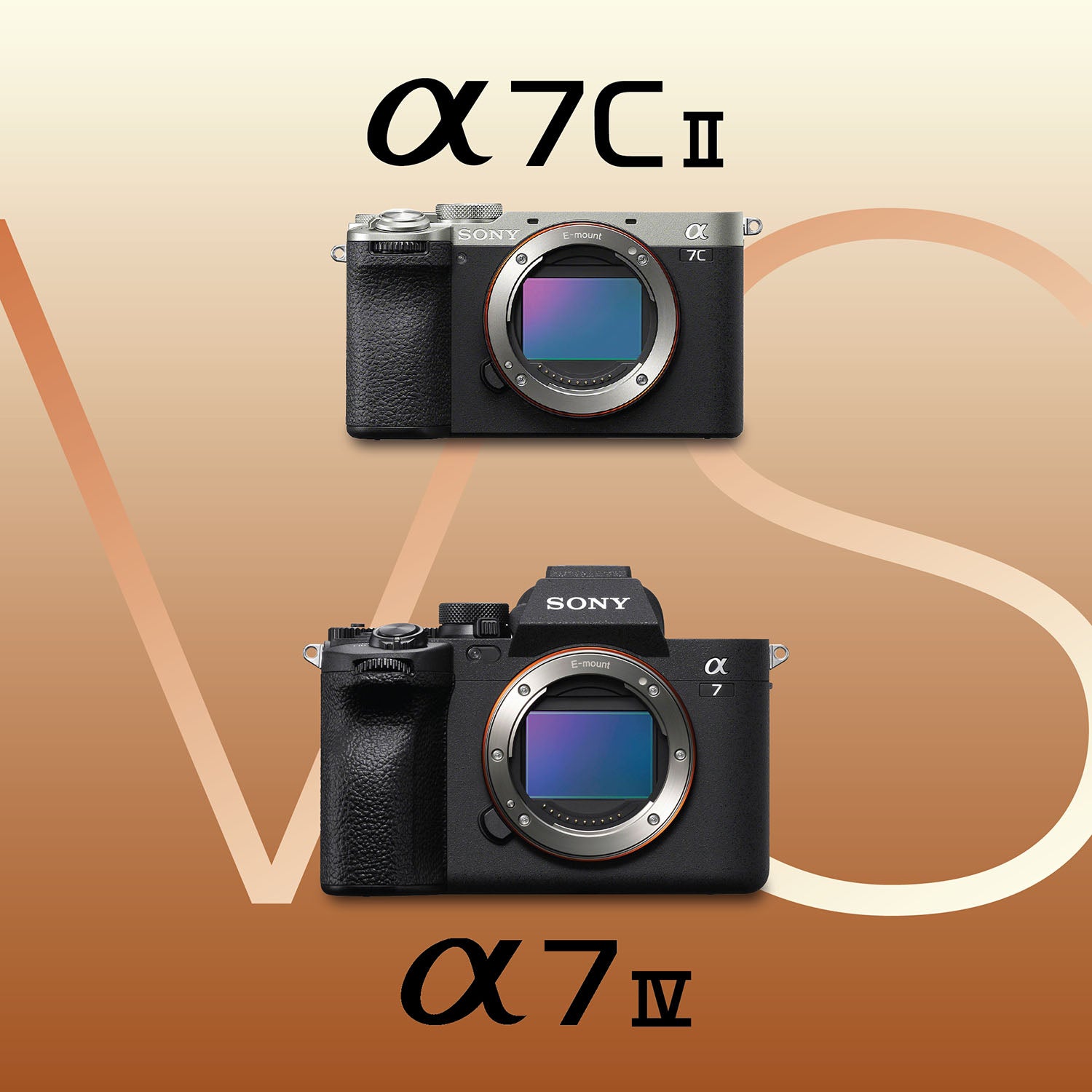 Frequently Asked Questions of How to choose A7C II or A7IV for travel