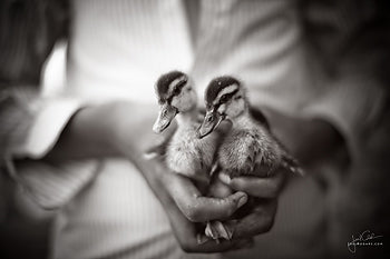 Photography's Most Difficult Lens: The Fixed 50 mm Lens