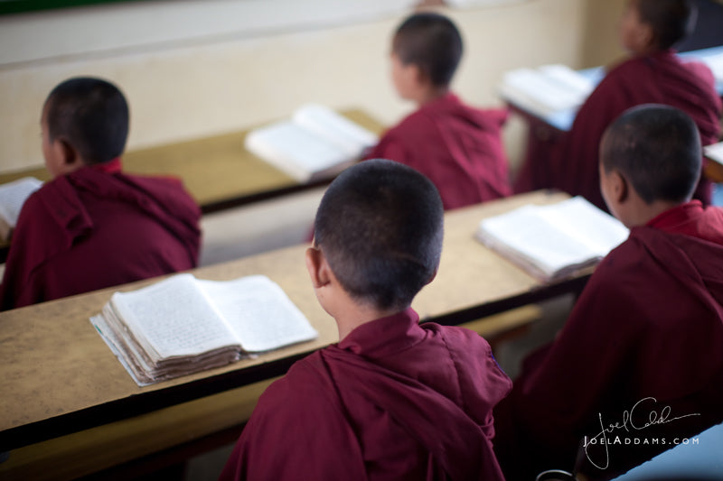 Fostering A Positive Learning Environment at Pictureline - Online Policy