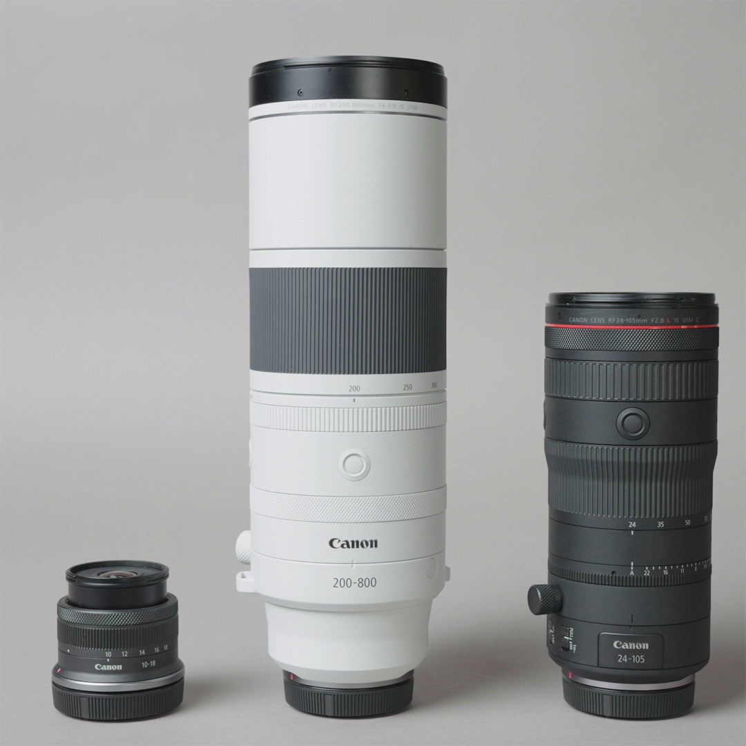 Canon RF 200-800mm & RF 24-105 | First Look