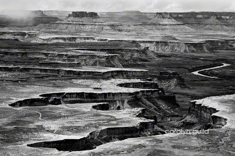 Focus on Photographers - Carolyn Guild