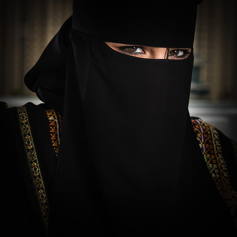 Professionals Comment on the Nikon D800 and the Canon 5D Mark III