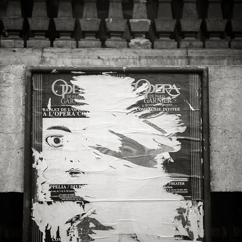 The Fine Art of Seeing: Cultivate Visual Awareness