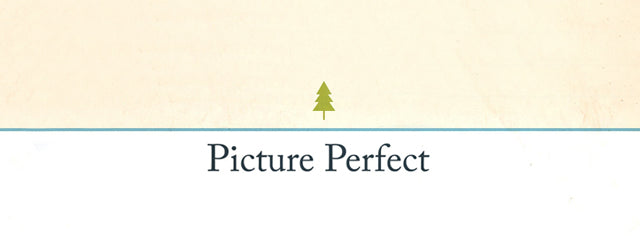 Picture Perfect Infograph