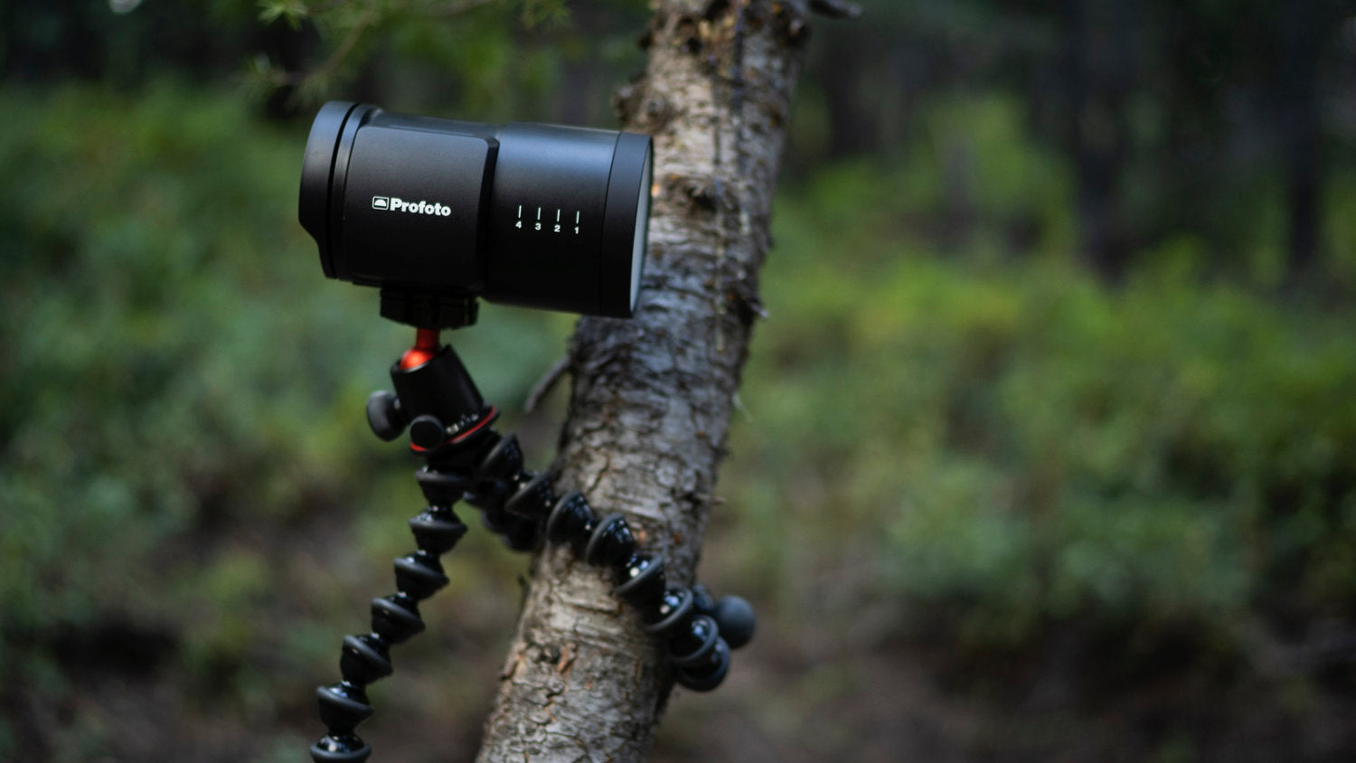 Trying Out the Profoto B10's