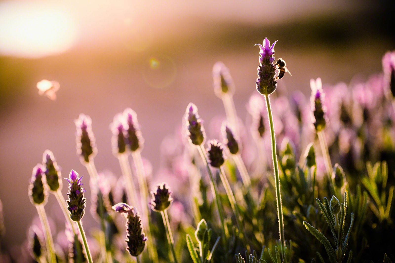 Essential Landscape Photography Gear for 2014