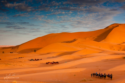 Seven Steps to Landscape Photography: Approaching an Outdoor Scene