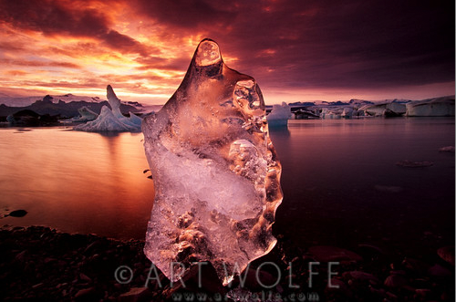 What's In Their Bags? Wildlife and Landscape Photographers