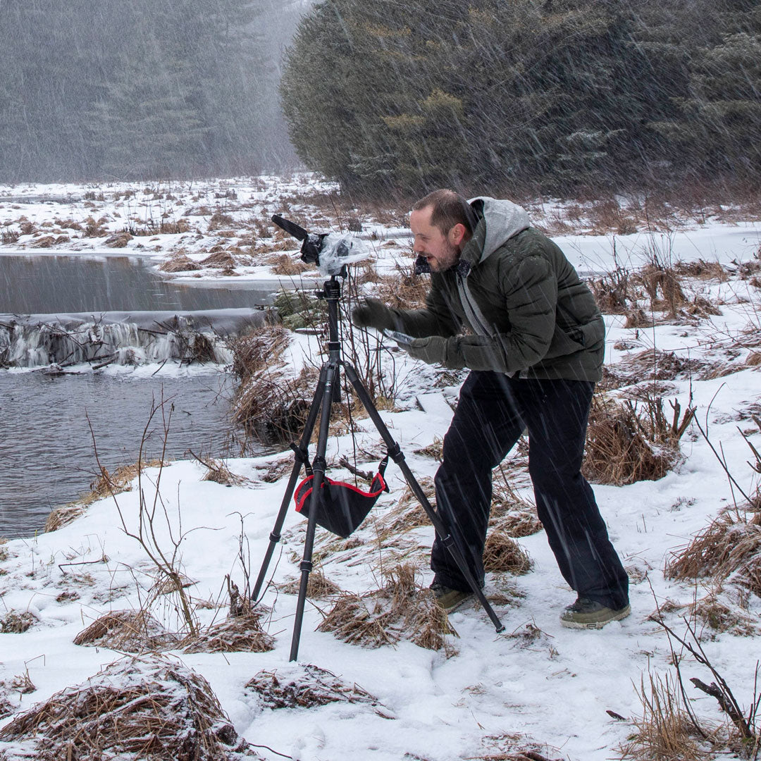 Artist Spotlight – Jamie Scott