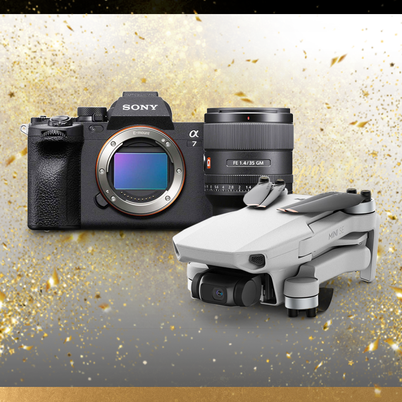 Our Favorite Things: Pictureline's Top 5 Staff Selections of 2021