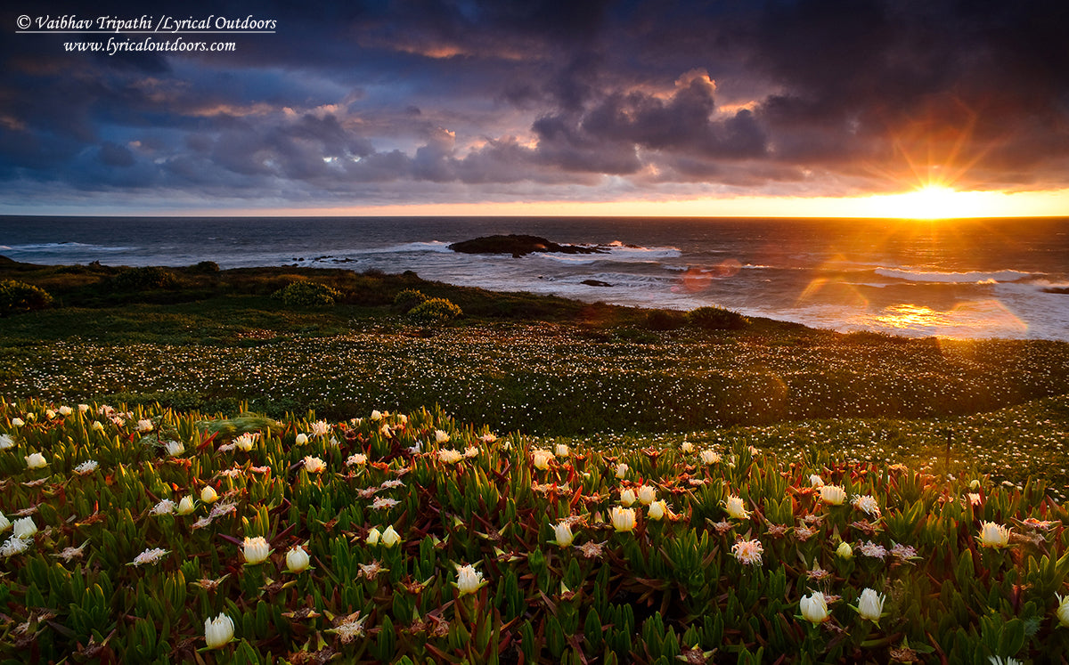 In Pursuit of Good Light with Vaibhav Tripathi