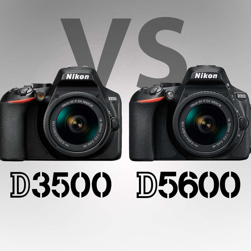 Nikon D3500 vs. D5600