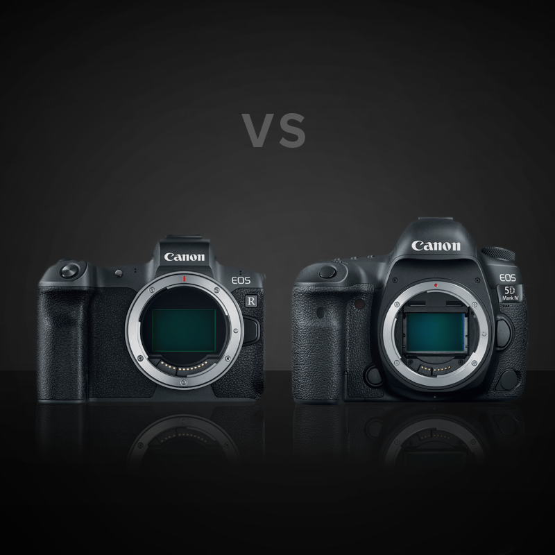 Canon 5D Mark IV vs. Canon EOS R