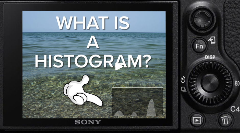 How Does a Histogram on a Camera Work?