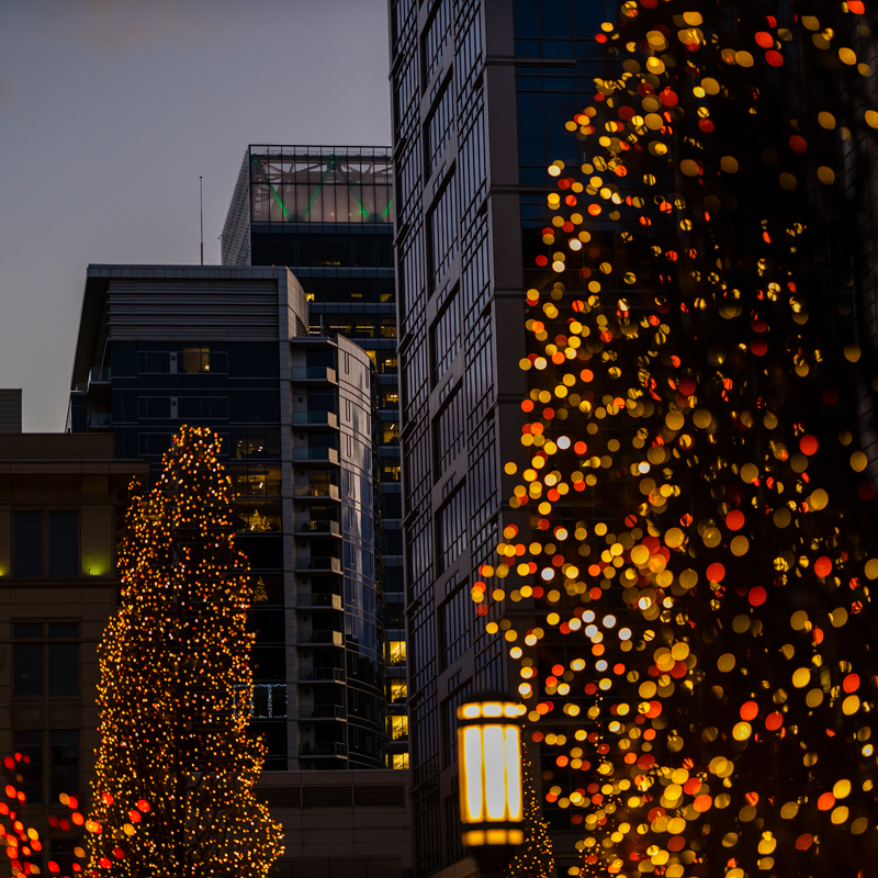 Pictureline's Inaugural Holiday Photo Walk Sponsored By Canon