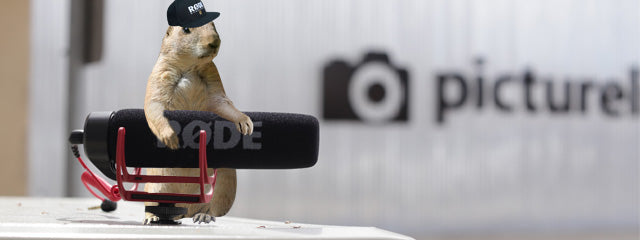 My RØDE Reel: An International Short Film Competition