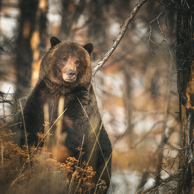 Friday Featured Photographer—Brandon Bright