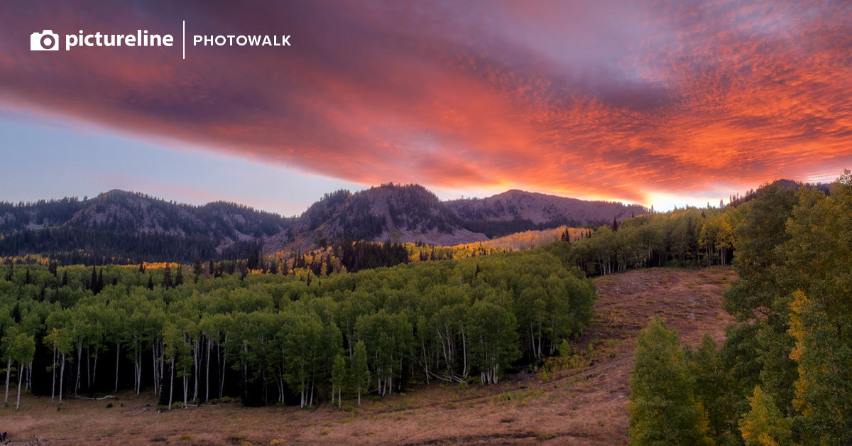 Capture the Fall Colors—October 3rd, 2026
