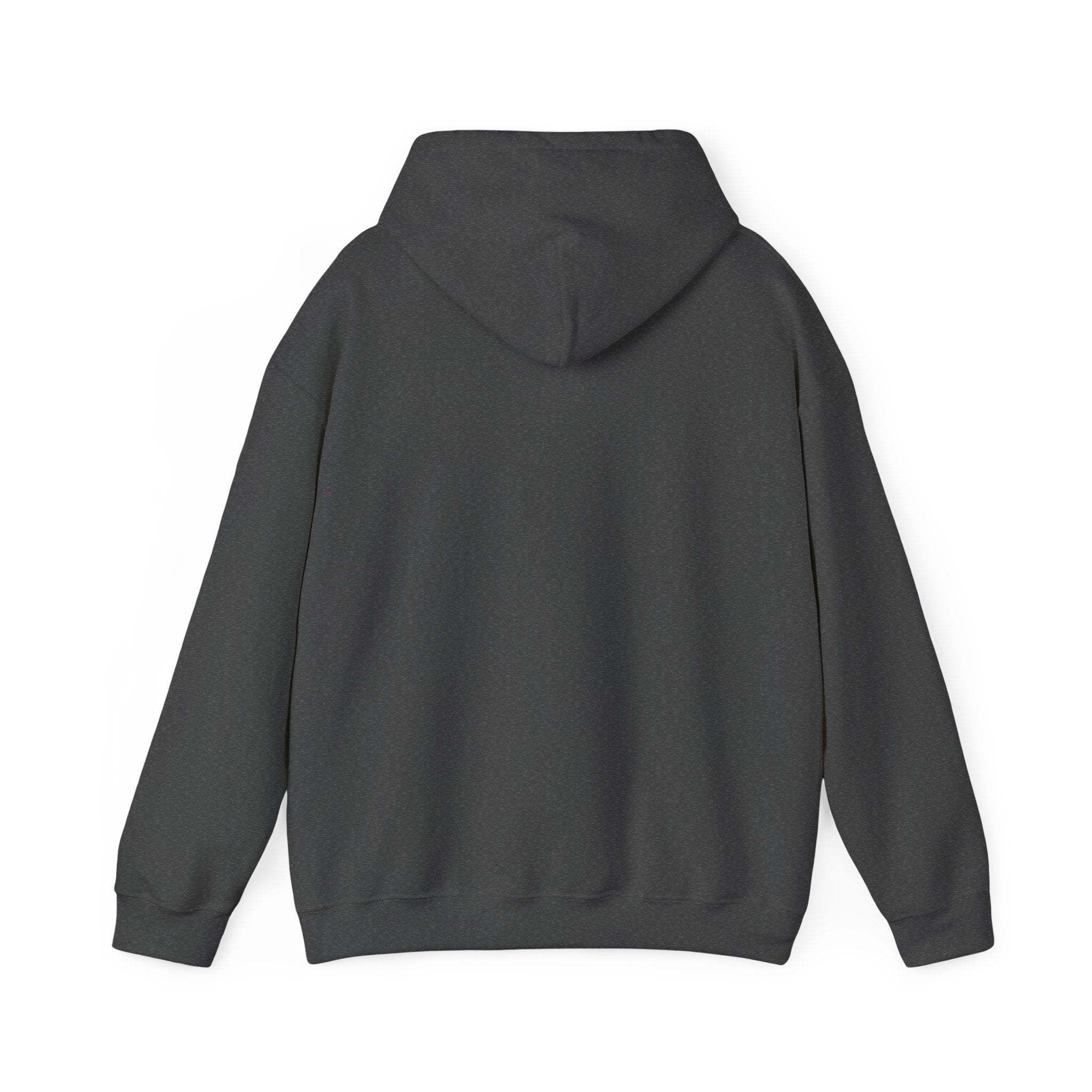 Multi-Camera Unisex Hooded Sweatshirt