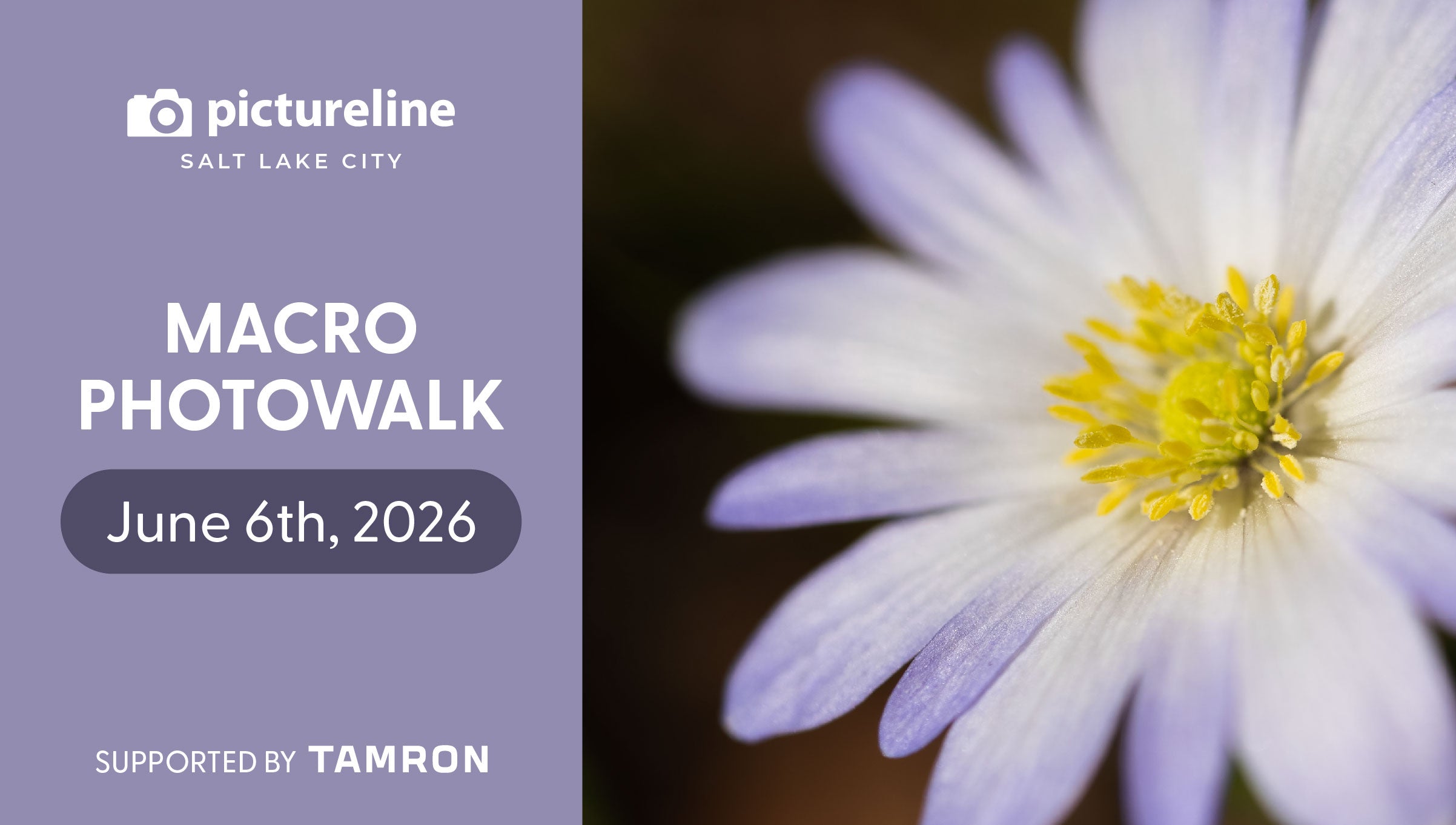Macro Photography at Red Butte Garden – June 6th, 2026