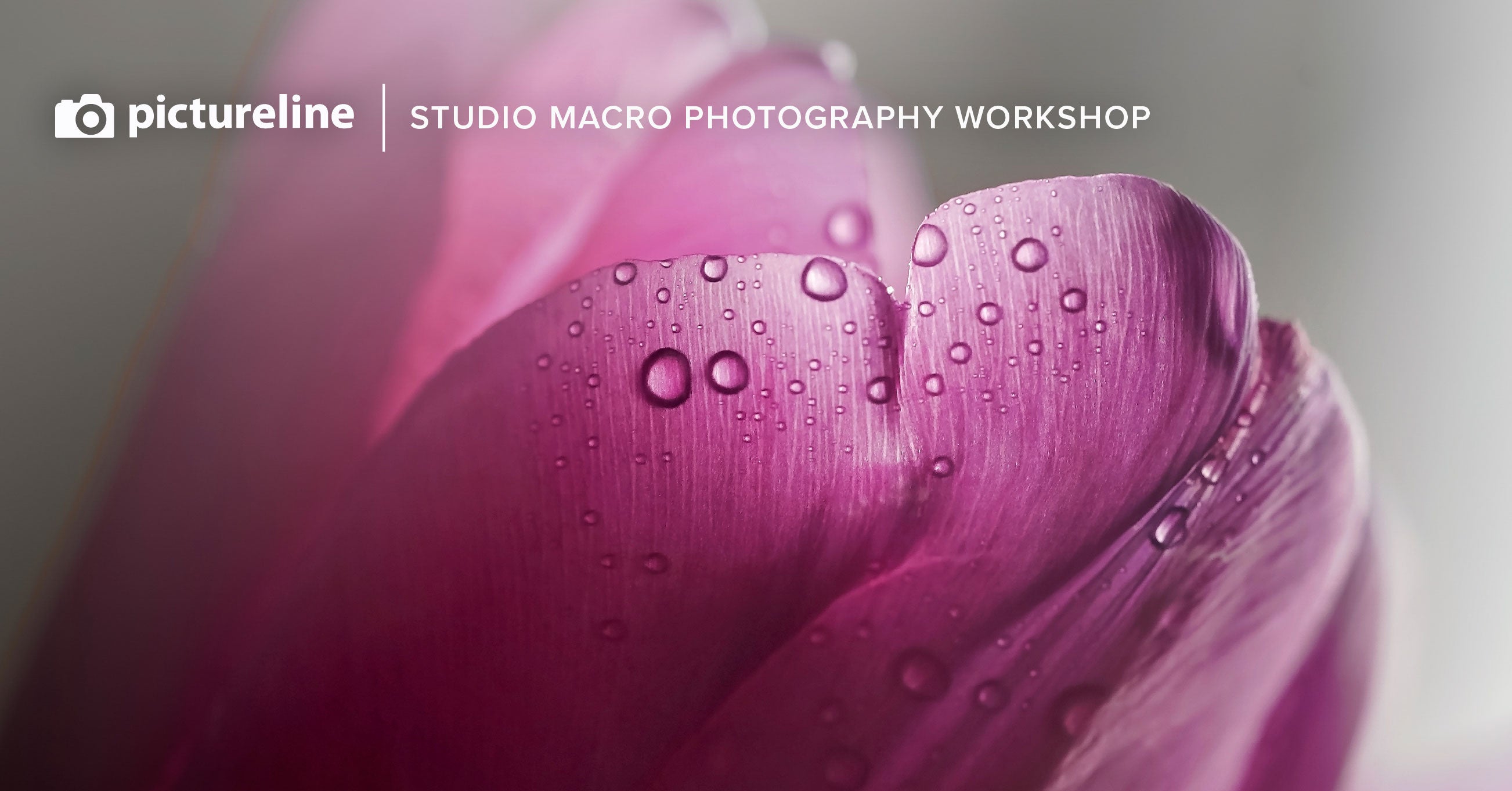 Studio Macro Photography Workshop—January 10th, 2026