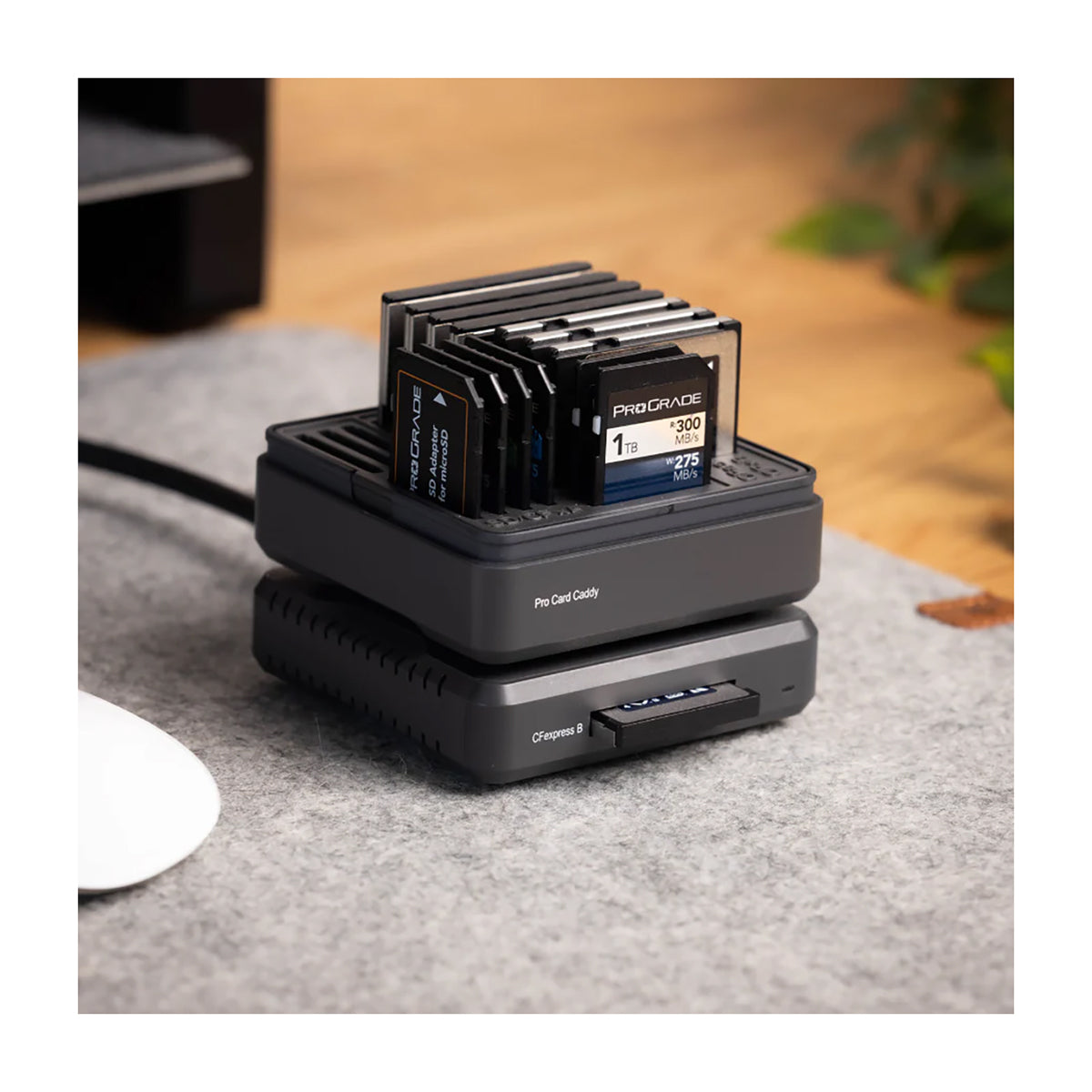 ProGrade Digital Pro Card Caddy