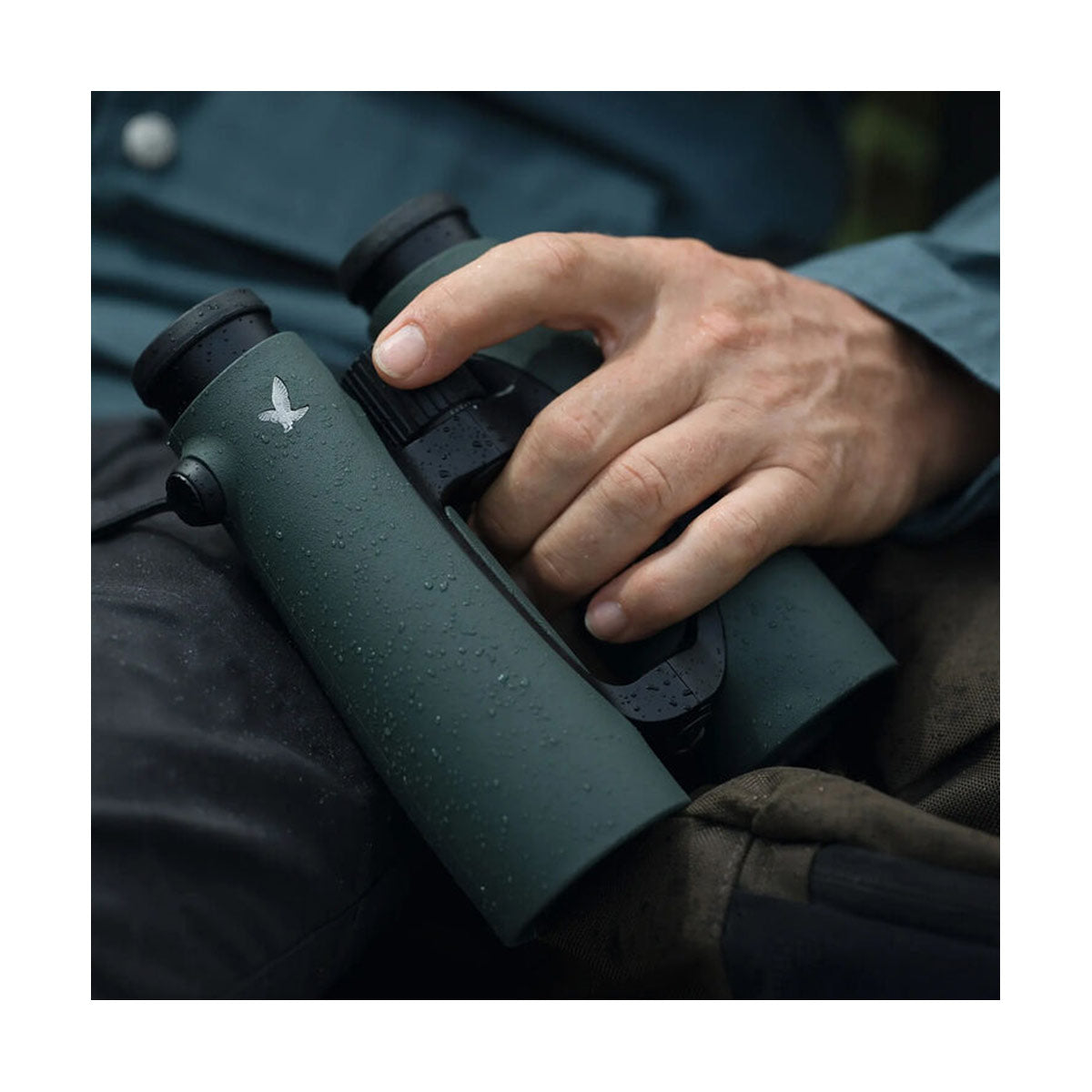 Swarovski 10x42 EL Binoculars