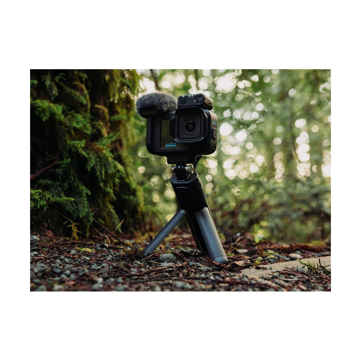 GoPro Mission 1 Pro Creator Edition Camera — creator edition camera front view on tripod in forest view