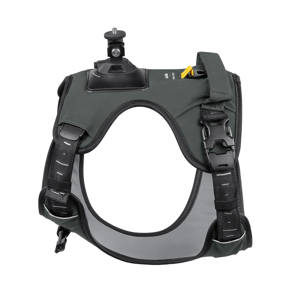 Insta360 Pet Harness Mount Kit (Large)