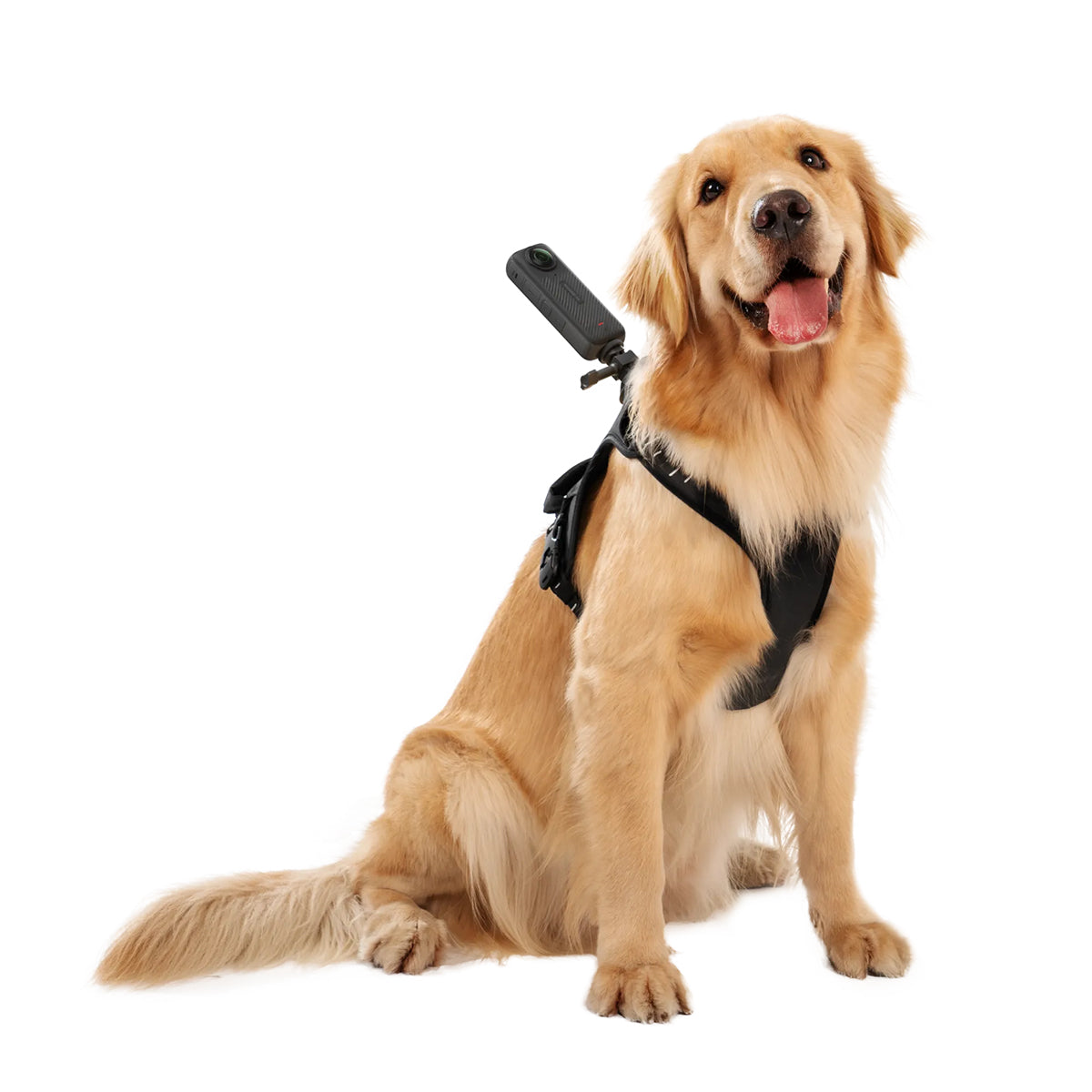 Insta360 Pet Harness Mount Kit (Large)