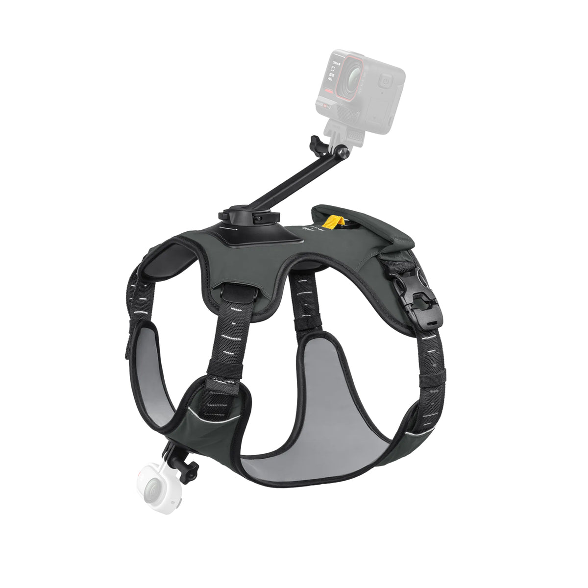 Insta360 Pet Harness Mount Kit (Large)