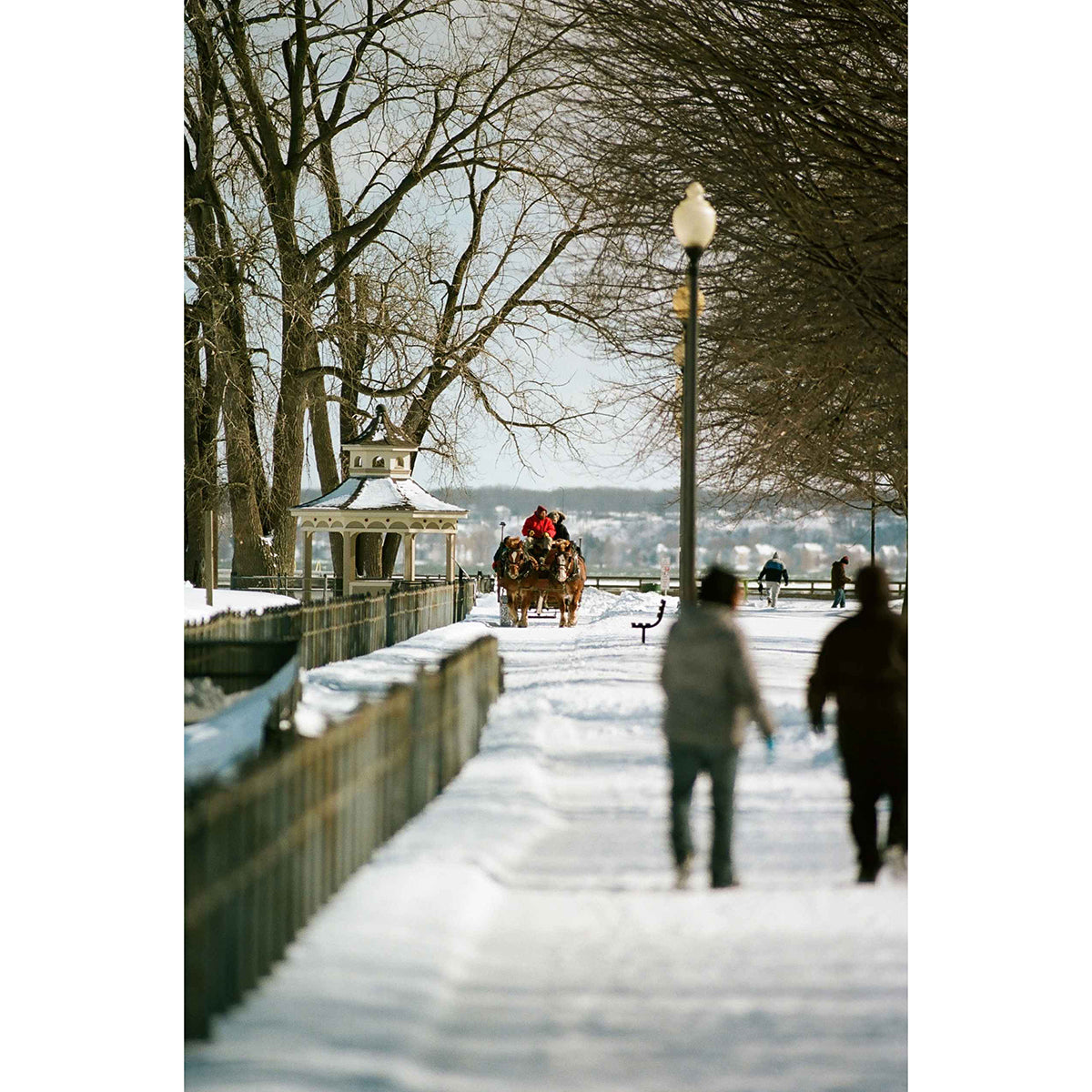 Kodak Ektacolor Pro 160 4x5 Film (10 Sheets)