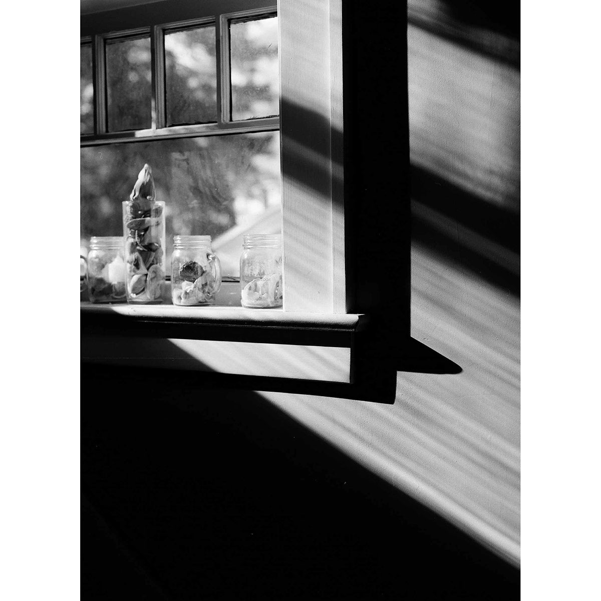Kodak Ektapan 100 4x5 Film (10 Sheets)