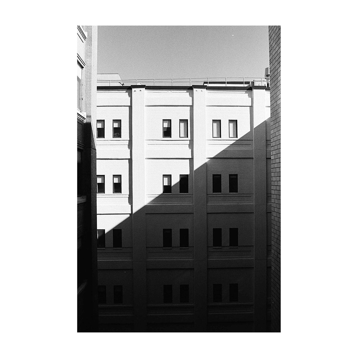 Kodak Tri-X 320 B&W 4x5 Film (10 Sheets)