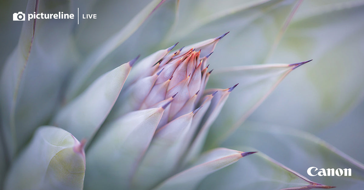 Botanical Blooms: Plant & Flower Macro Photography with Sarah Marino - March 25th