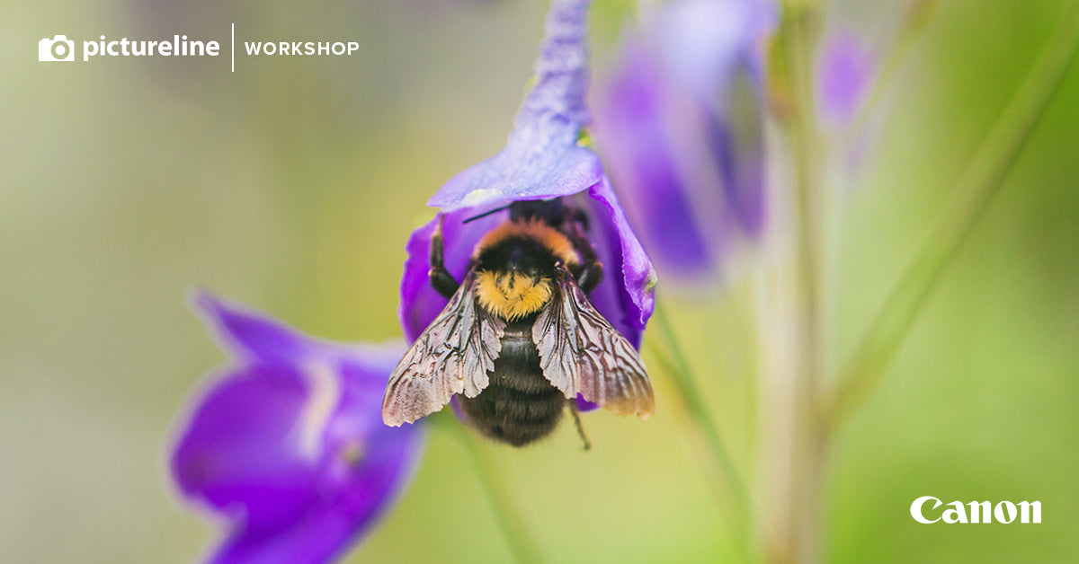 Macro Photography Workshop at Red Butte Garden: Saturday May 1st: Get to know your camera students