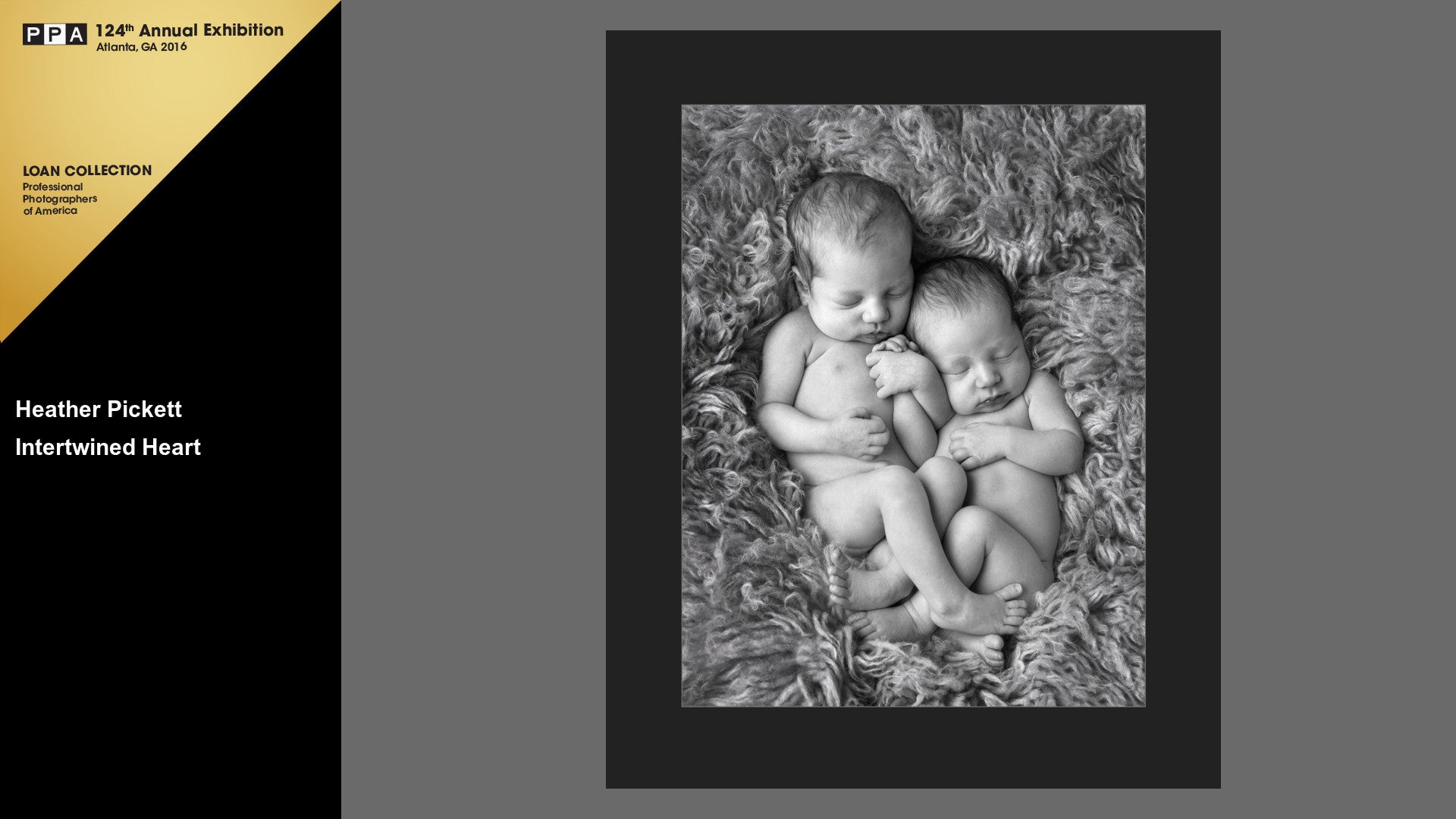 IPPA Spring Quarterly - Newborn Workshop (Saturday, March 12th), events - past, pictureline - Pictureline - 3