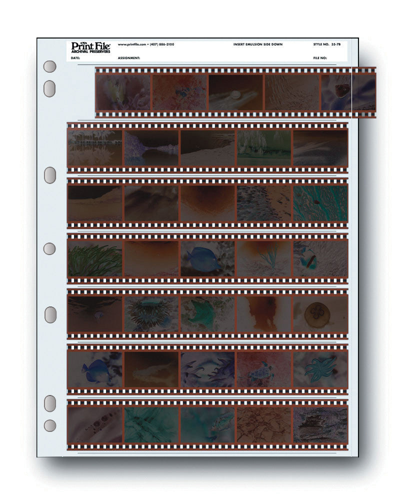 Print File 35 7B 25, camera film storage, Print File - Pictureline