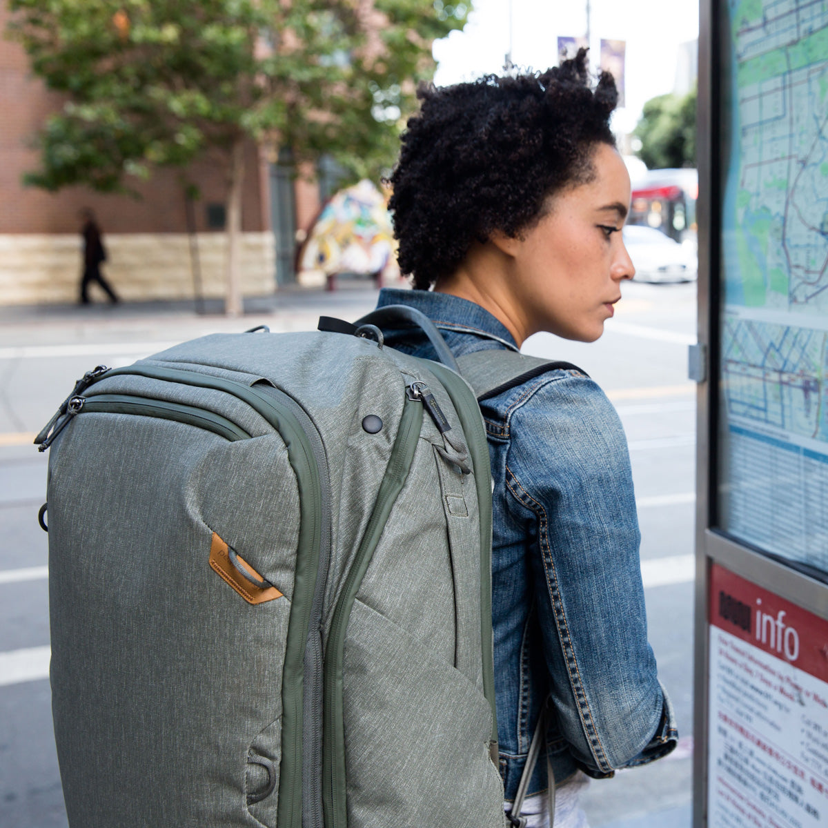 Peak Design Travel Backpack 45L - Sage