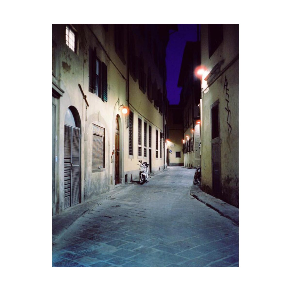 CineStill 800Tungsten 120 Color Neg. Film (One Roll)