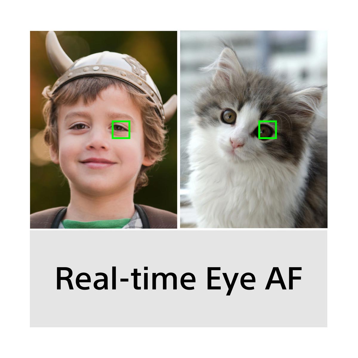 Sony Alpha a6600 Mirrorless Digital Camera Body