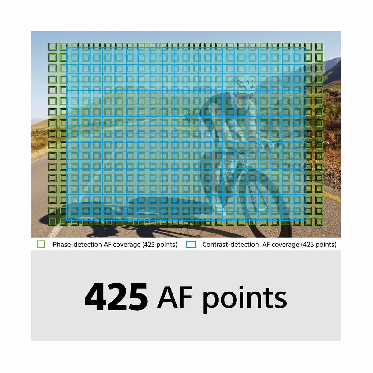 Sony Alpha a6600 Mirrorless Digital Camera Body