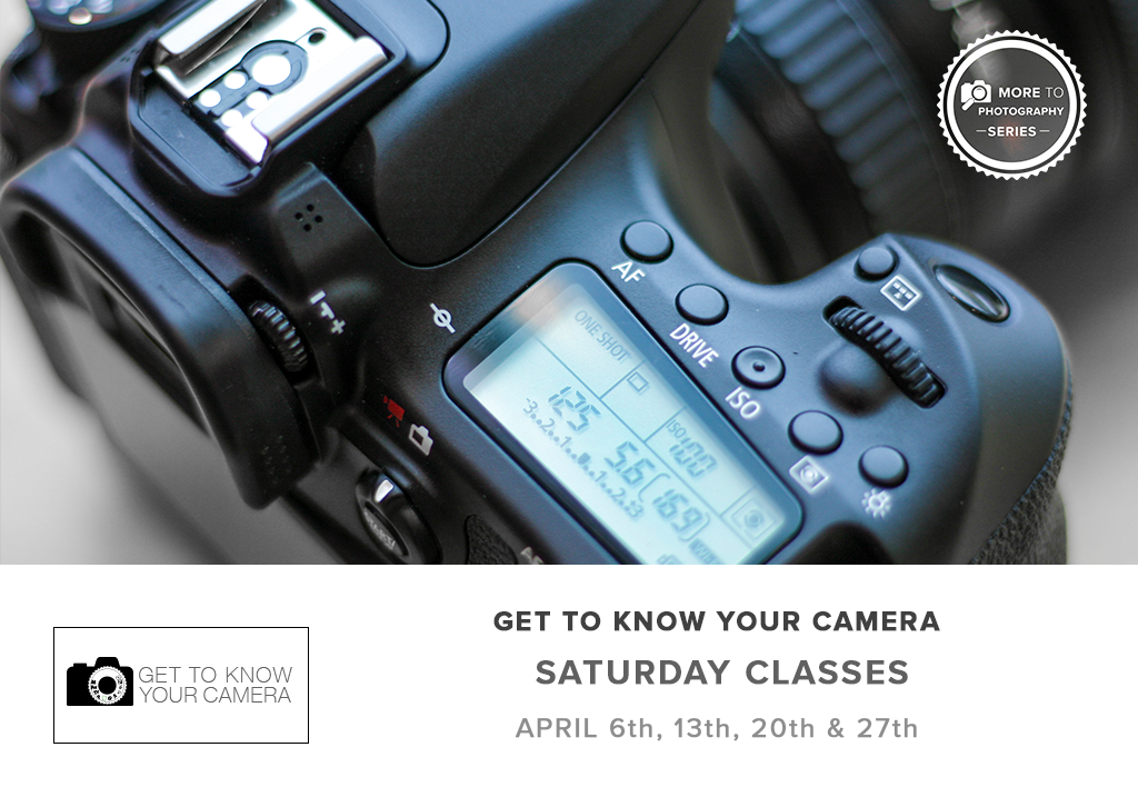 Get To Know Your Camera - Part 1 (April 2019)