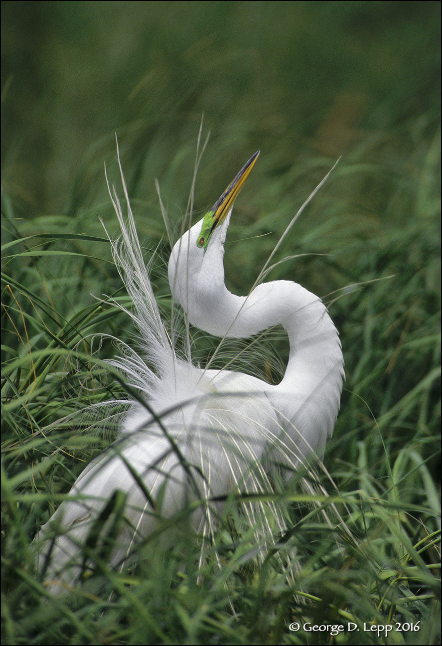 Extending Depth of Field with George Lepp Workshop (March 19th), events - past, pictureline - Pictureline - 2