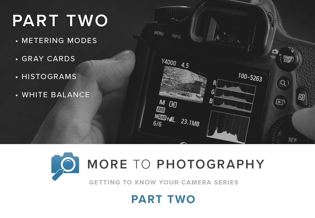More to Photography Part Two (October 20th)