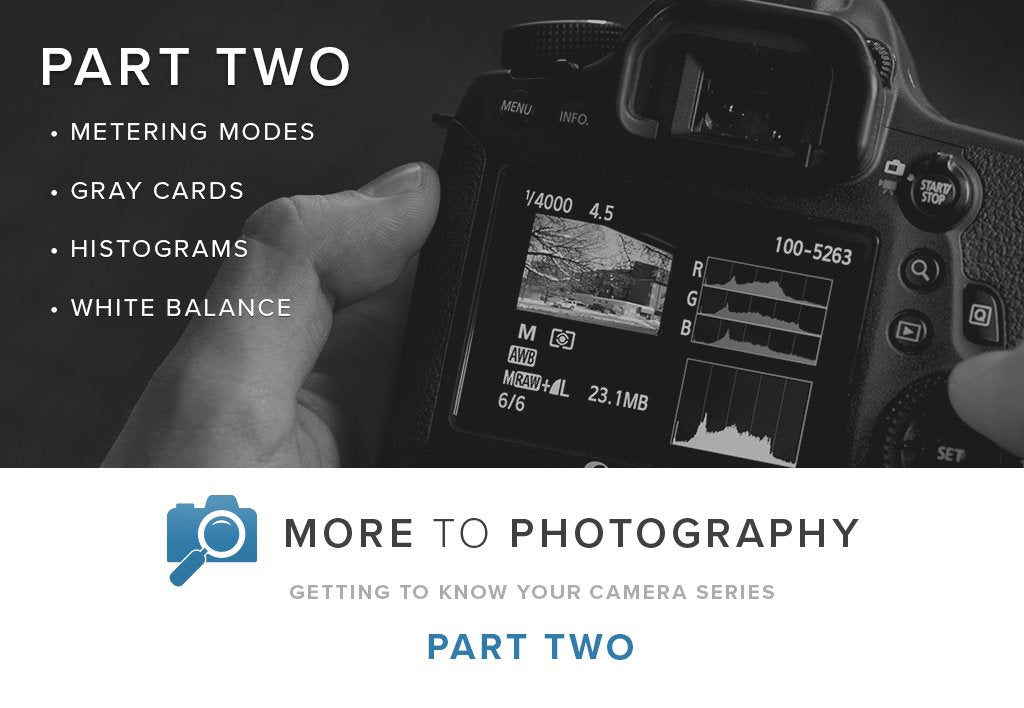 More to Photography Part Two (January 19th)