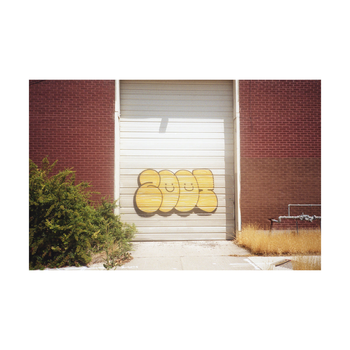 Kodak Colorplus 200 135-36 Color Neg. Film