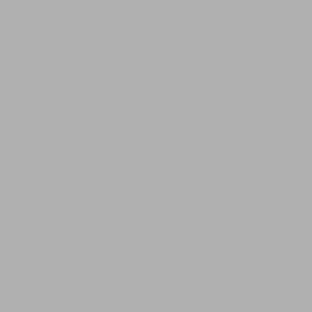 Superior Fossil Gray 107"x12 Yds. Seamless Background Paper (72)